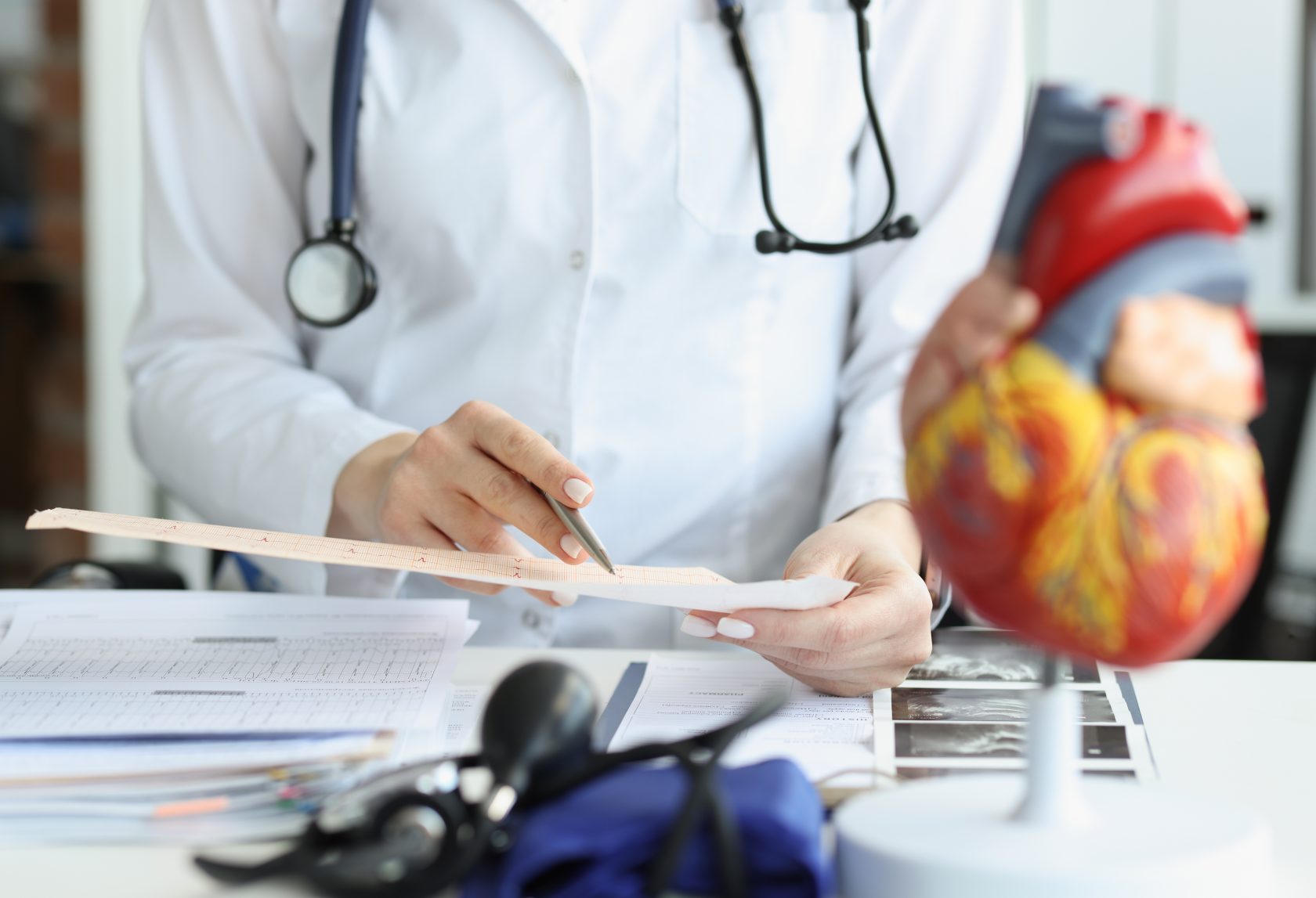 Doctor cardiologist examining cardiogram against background of artificial heart model closeup